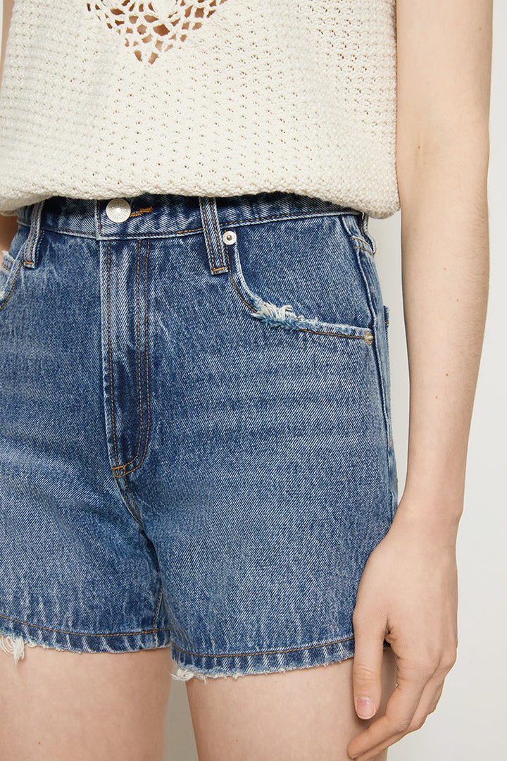 BOYISH Vintage High Rise Shorts